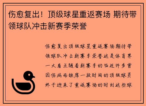 伤愈复出！顶级球星重返赛场 期待带领球队冲击新赛季荣誉